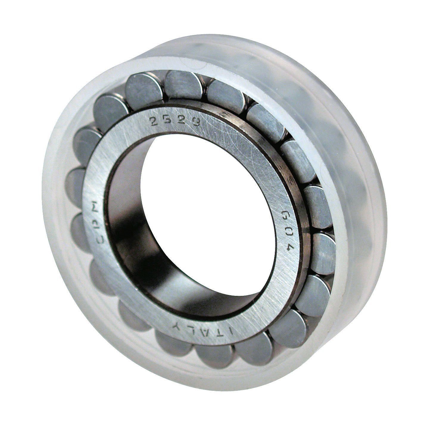 CPM 2843 RULMAN